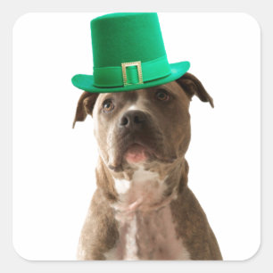Cute Pit Bull Dog Hat St. Patrick's Day Square Sticker