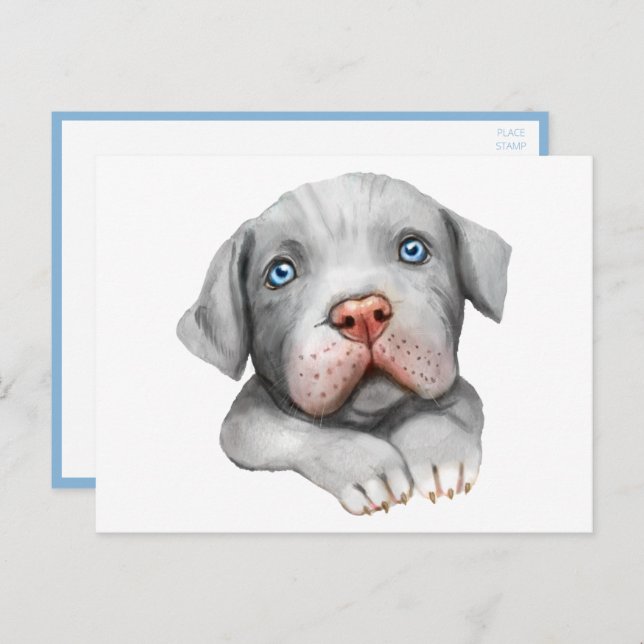 Cute Pit Bull Pittie Puppy Dog Love Hello Pitbull  Postcard (Front/Back)