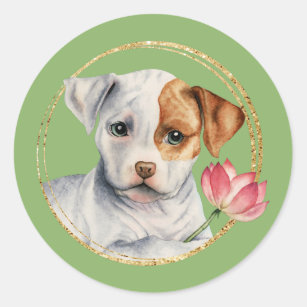 Cute Pit Bull Puppy with Spring Flower Classic Round Sticker