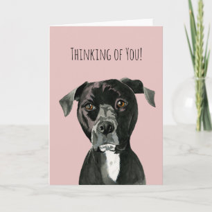 Cute Pit Bull Terrier Dog   Thinking of You Card