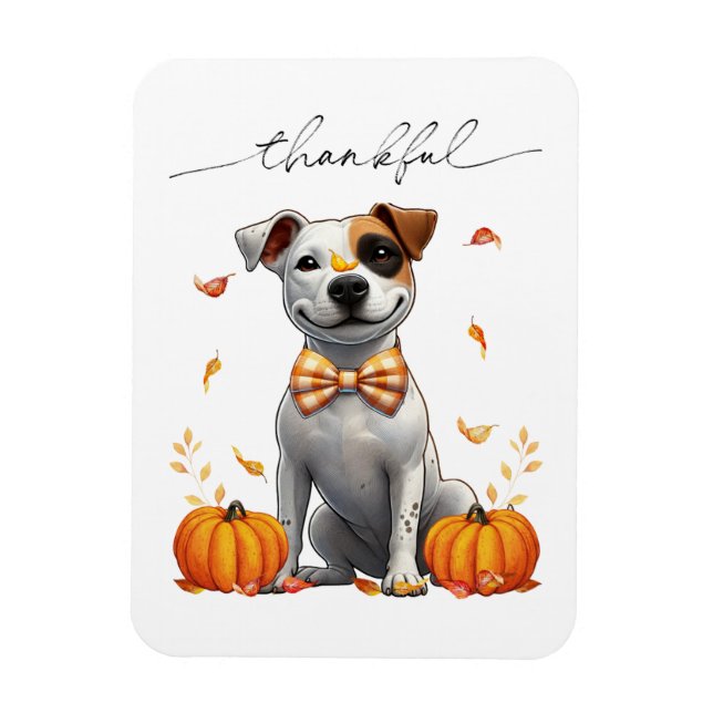 Cute Pit Bull Thankful Fall Pumpkins Magnet (Vertical)