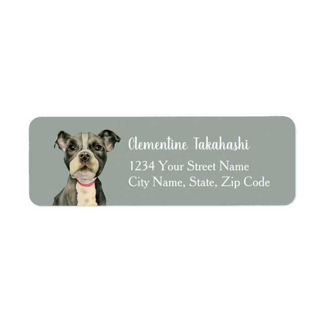 Cute Pitbull Dog Puppy Eyes Return Address (Front)