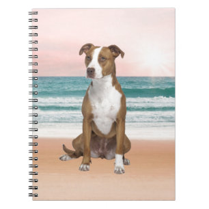 Cute Pitbull Dog Sitting on Beach with sunset Notebook