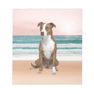 Cute Pitbull Dog Sitting on Beach with sunset Notepad
