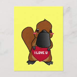 Cute Platypus Postcard