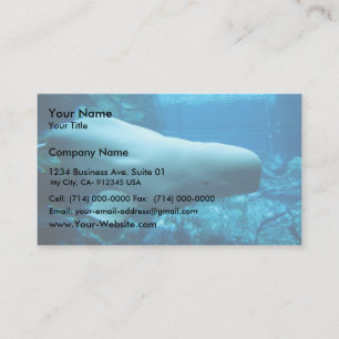 Cute Playful Beluga Whale In Aquarium At Georgia Business Card