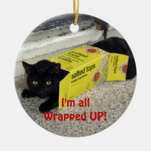 Cute Playful Cat Christmas Ornament
