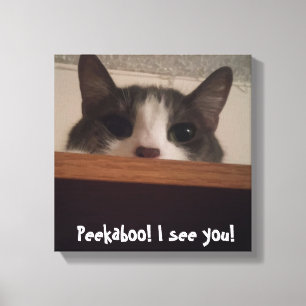 Cute Playful Kitty Cat Picture Wrapped Canvas