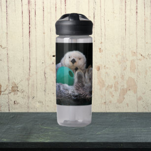 Cute Playful Sea Otters Photo Water Bottle