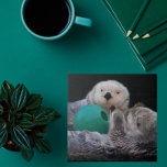 Cute Playful Sea Otters Tile<br><div class="desc">Ceramic tile featuring the photo image of two,  very cute,  playful sea otters with a ball toy. Select your tile size. Makes a great kitchen trivet!</div>