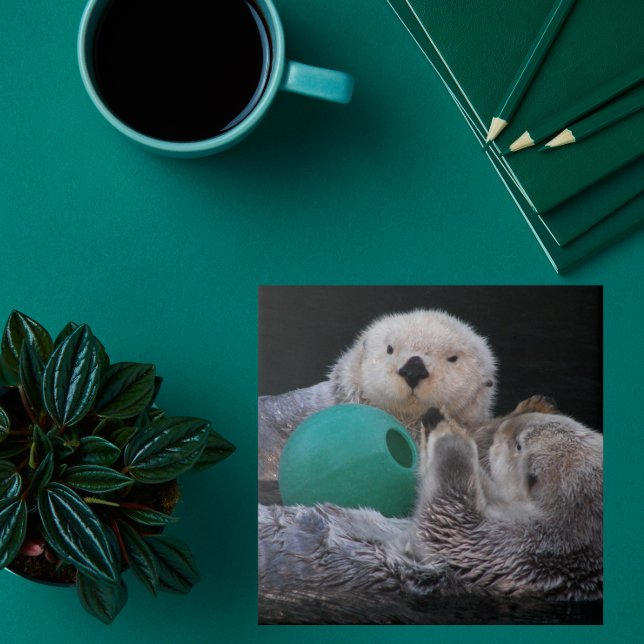 Cute Playful Sea Otters Tile (In Situ)