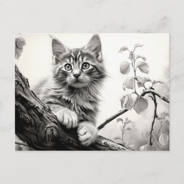 Cute playing kitten - Black and White Drawing Art Postcard (Front)