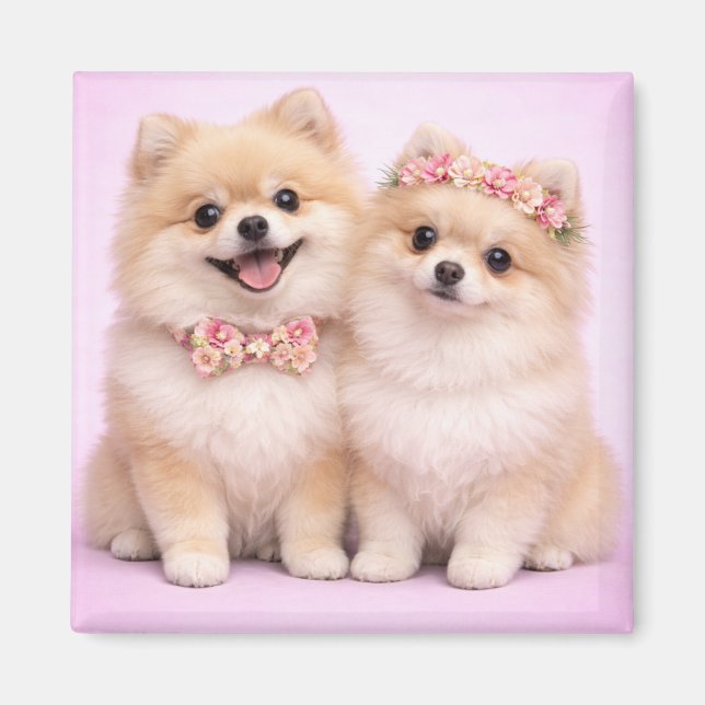 Cute Pomeranian Couple Valentine Illustration  Magnet (Front)