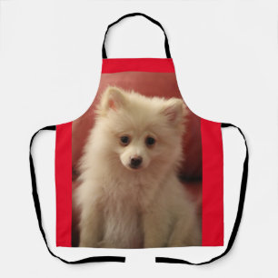 Cute Pomeranian Dog Apron
