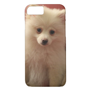 Cute Pomeranian Dog Case-Mate iPhone Case