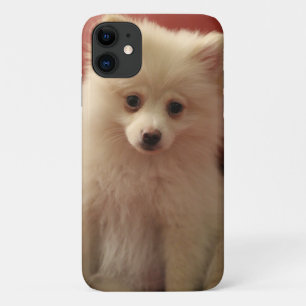 Cute Pomeranian Dog Case-Mate iPhone Case