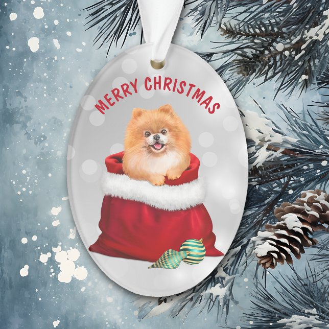 Cute Pomeranian Dog Gift Surprise Ornament (Creator Uploaded)