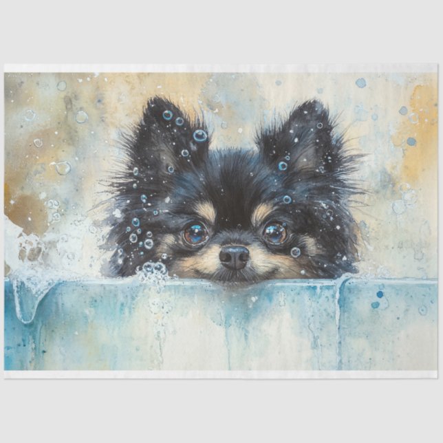 Cute Pomeranian Dog in the Bathtub Decoupage Tissue Paper (Front)