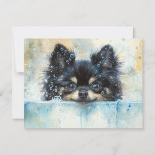 Cute Pomeranian Dog in the Bathtub Postcard
