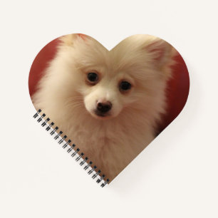 Cute Pomeranian Dog Notebook