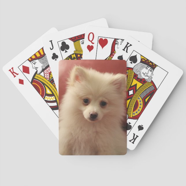 Cute Pomeranian Dog Playing Cards (Back)