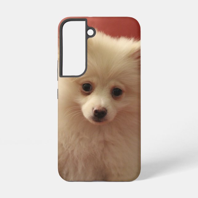 Cute Pomeranian Dog Samsung Galaxy S22 Case (Back)