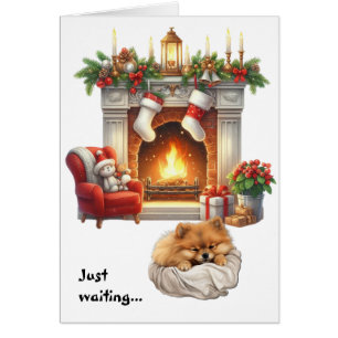Cute Pomeranian Dog Waiting for Christmas