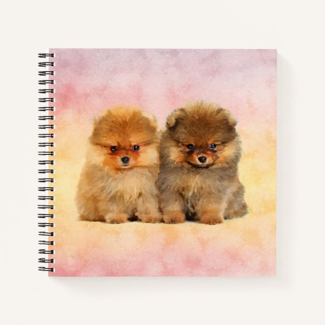 Cute Pomeranian German Spitz  Puppies Notebook (Front)