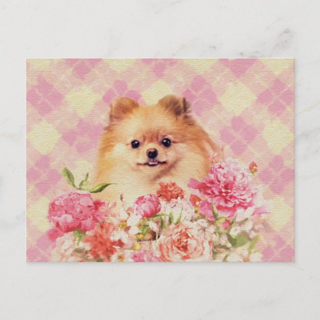 Cute Pomeranian German Spitz with Flowers Postcard (Front)
