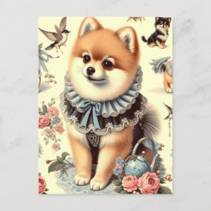 Cute Pomeranian Painting Postcard