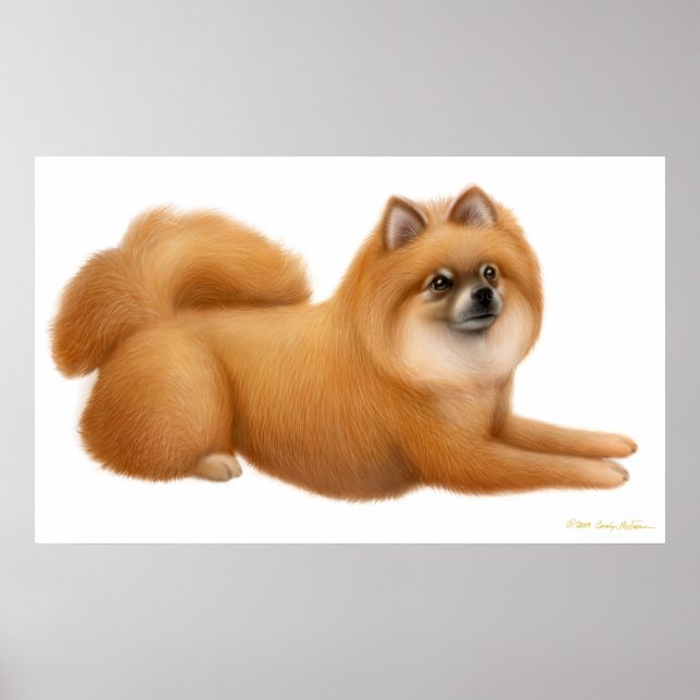 Cute Pomeranian Puppy Print (Front)