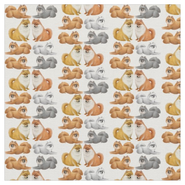 Cute Pomeranian Toy Dog Fabric (Close Up)