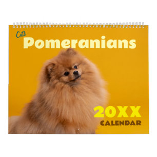 Cute Pomeranians Calendar 2026 Dogs