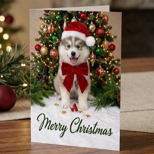 Cute Pomsky Puppy Dog Lover Santa Hat Christmas Card