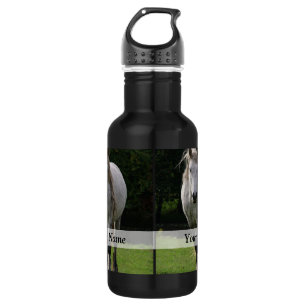 Cute pony photograph 532 ml water bottle