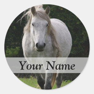 Cute pony photograph classic round sticker