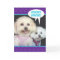 Cute Poochon Dogs - Pooches Gracias Thank You