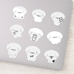 Cute Poodle