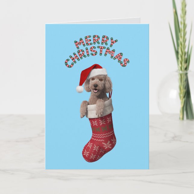 Cute Poodle Christmas Holiday Card (Front)