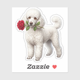 Cute Poodle Dog