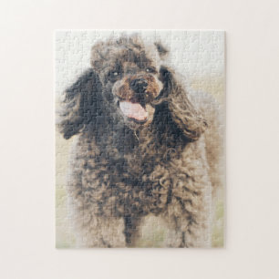 Cute Poodle Dog Face Smile Smiling Jigsaw Puzzle