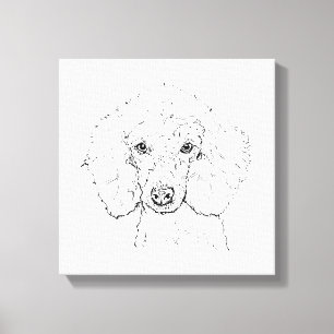 Cute Poodle Dog Illustration, Hand Drawn Canvas Print
