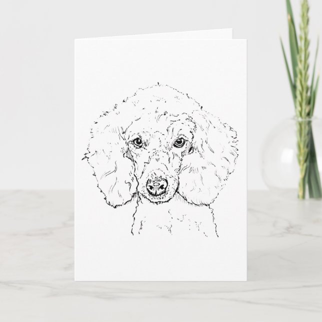 Cute Poodle Dog Illustration, Hand Drawn Card (Front)