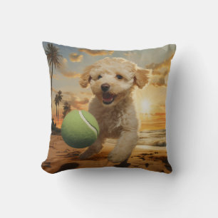 🐕 Cute poodle puppy with Tennis balls on beach Cushion