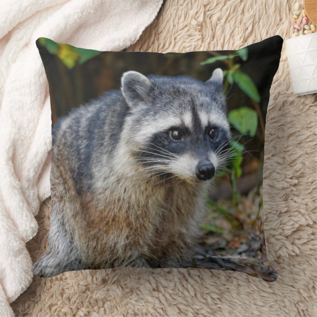 Cute Posing North American Racoon Cushion (Blanket)