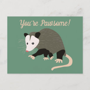 Cute Possum Illustration Green Custom Message Postcard