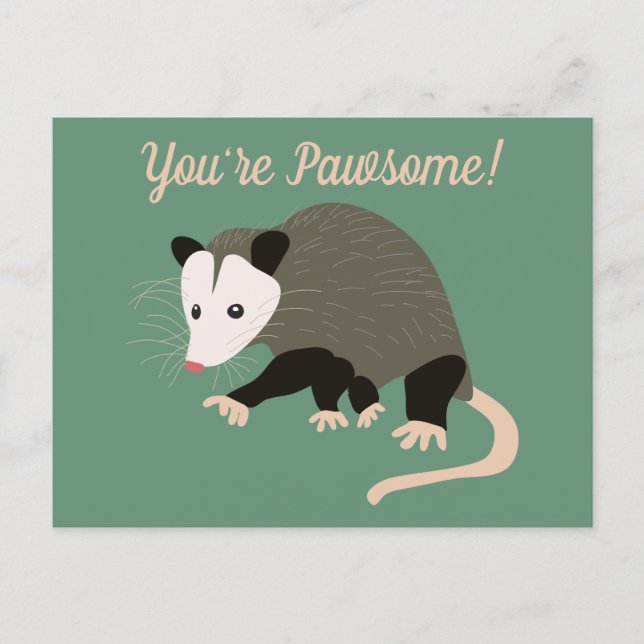 Cute Possum Illustration Green Custom Message Postcard (Front)