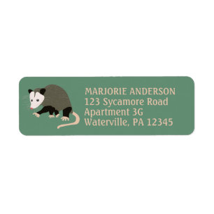 Cute Possum Illustration Green Return Address