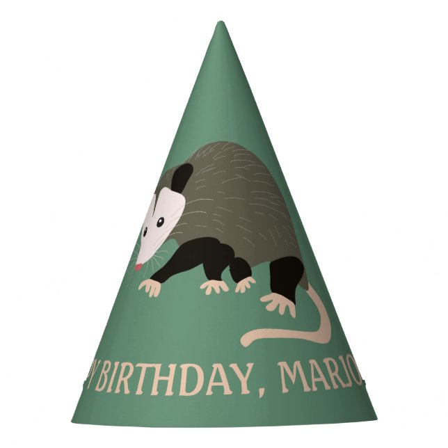 Cute Possum Illustration Light Green Personalised Party Hat (Front)