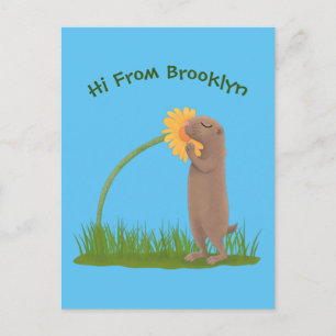 Cute prairie dog sniffing flower cartoon postcard